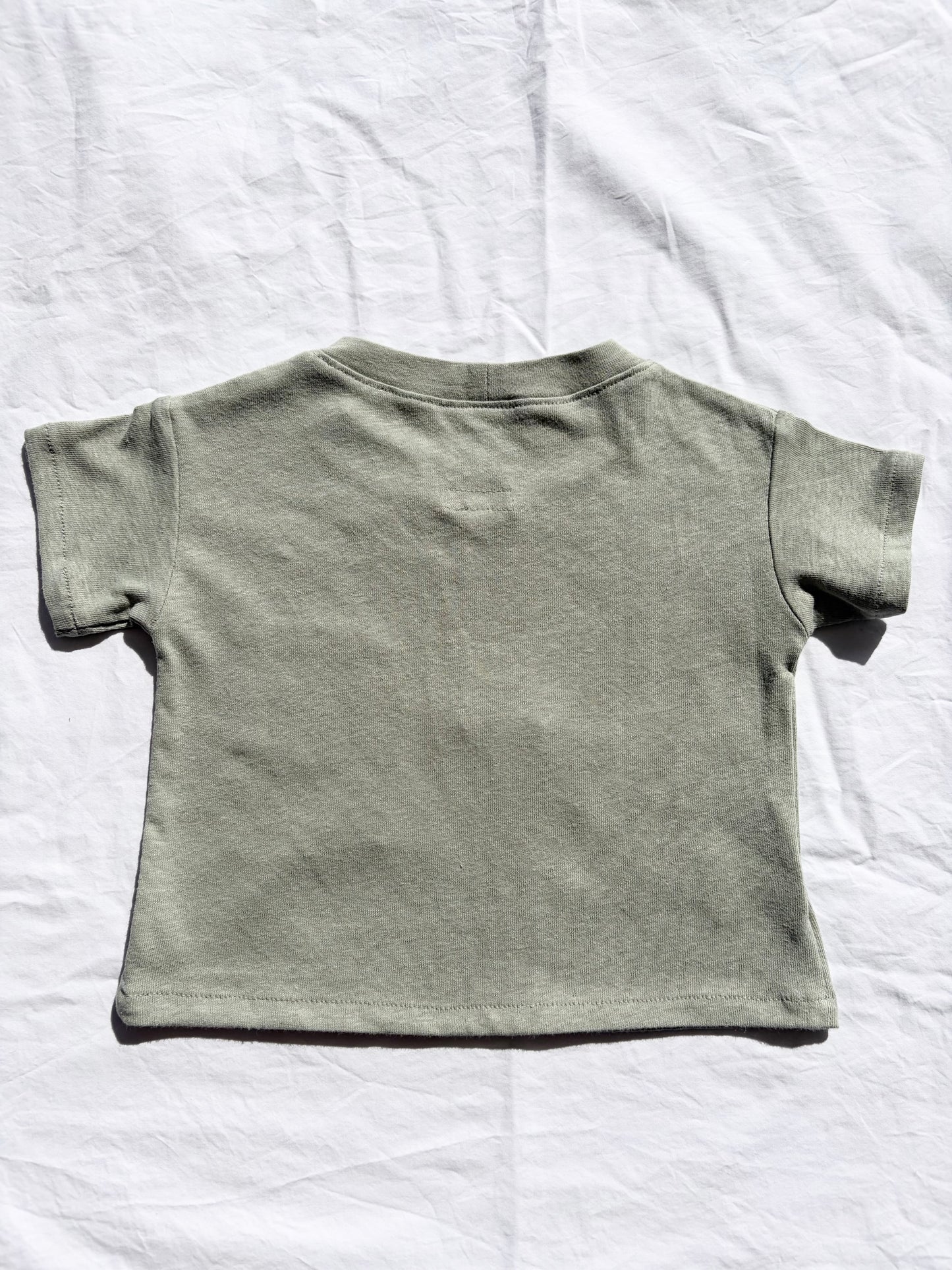 Unisex Basic T-Shirt - Organic Cotton Jersey - Sage