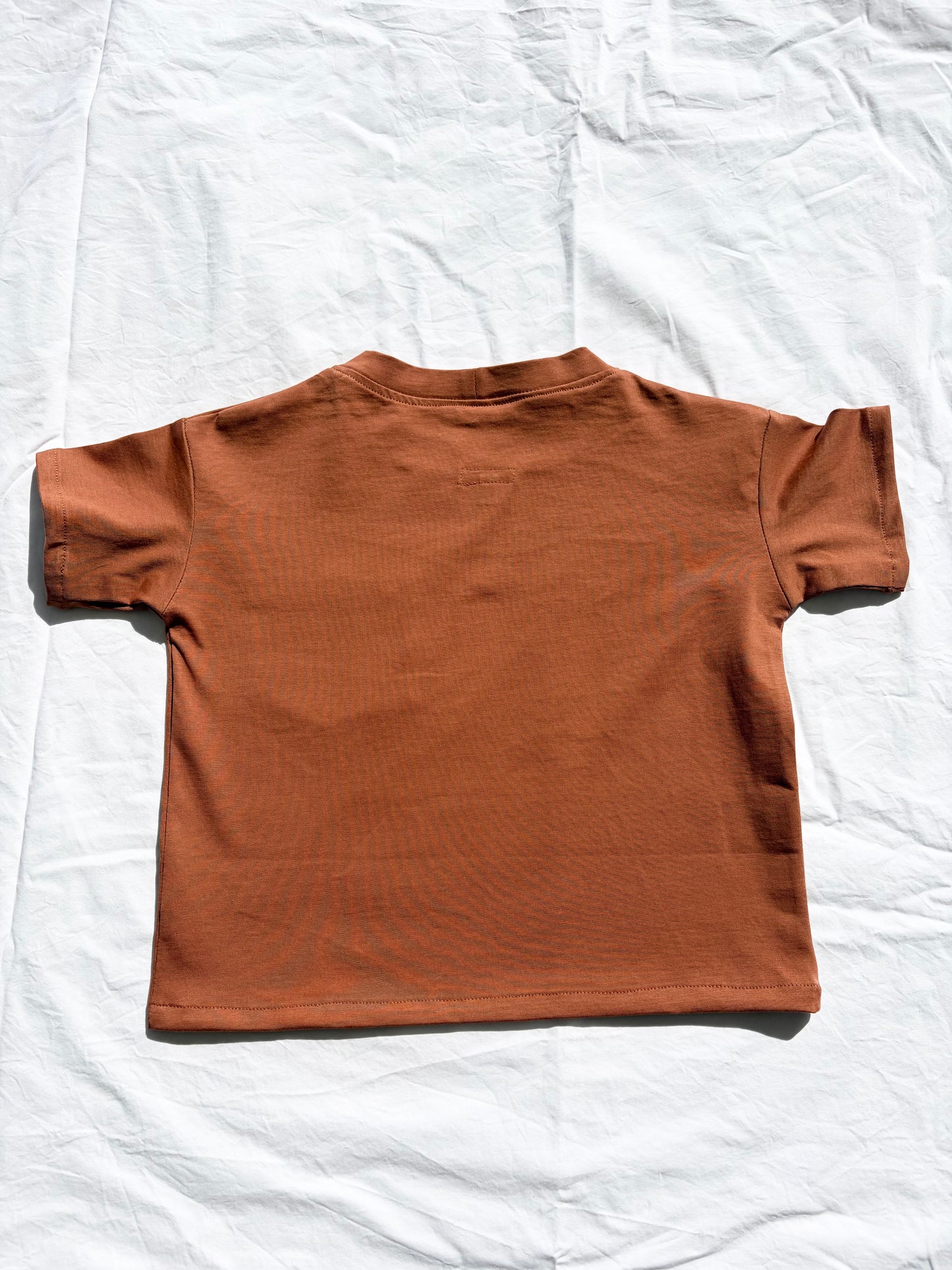 Unisex Basic T-Shirt - Comb Cotton Jersey - Rust