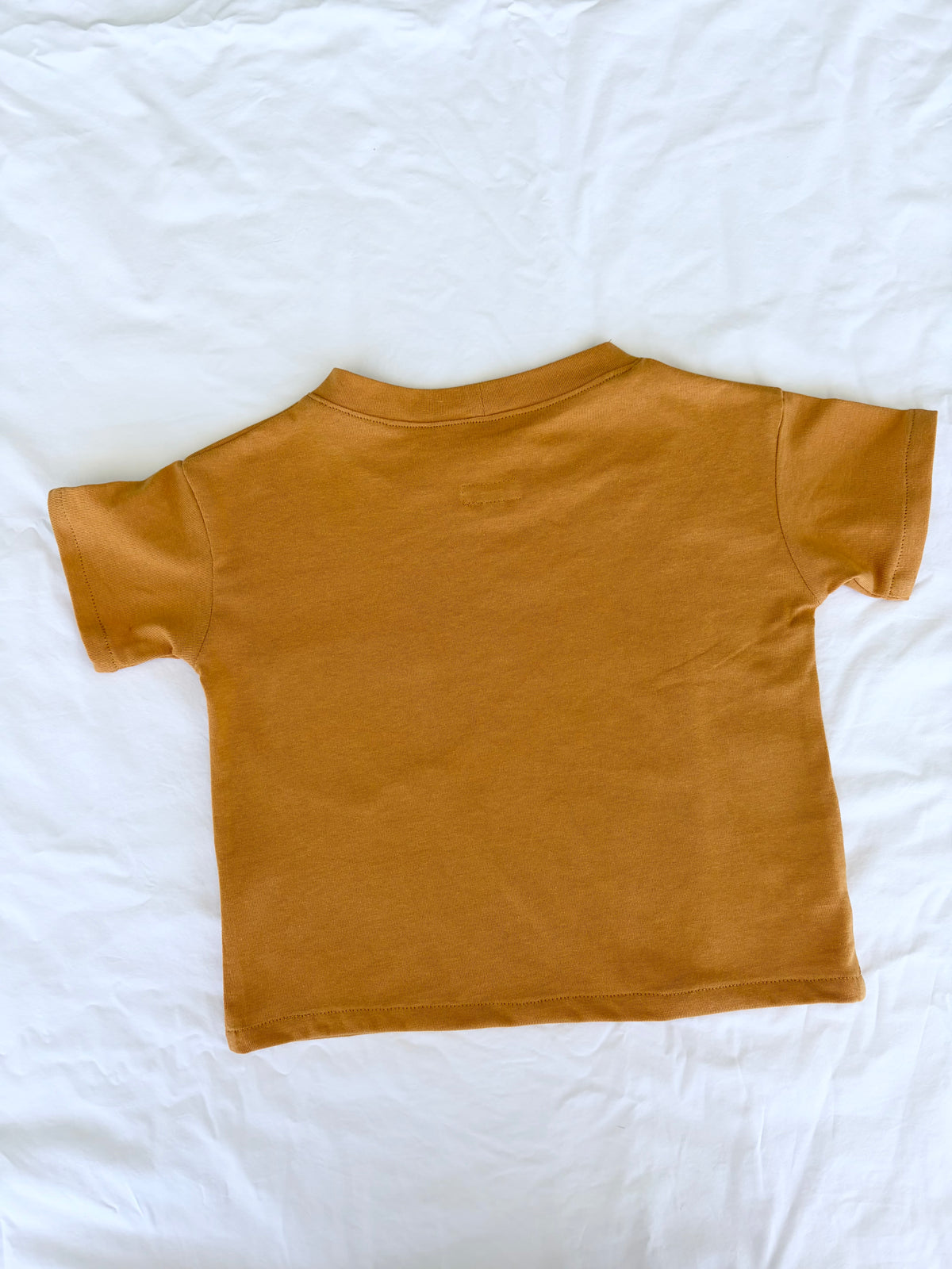 Unisex Basic TShirt - Comb Cotton Jersey - Mustard