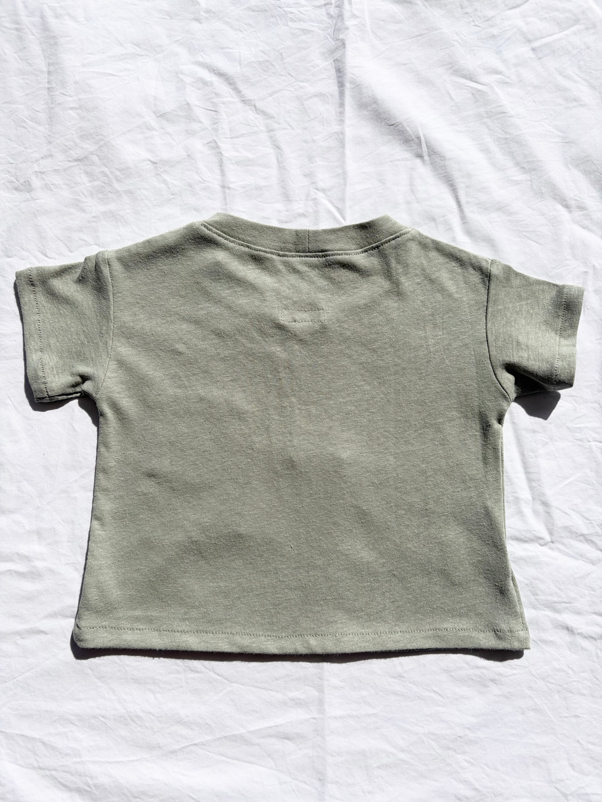 Unisex Basic T-Shirt - Organic Cotton Jersey - Sage