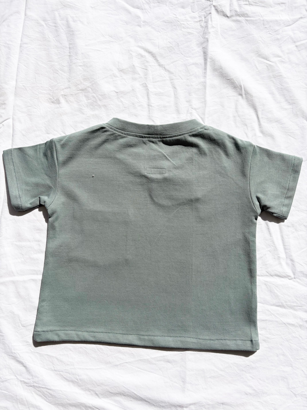 Unisex Basic T-shirt - Comb Cotton Jersey - Sea Green
