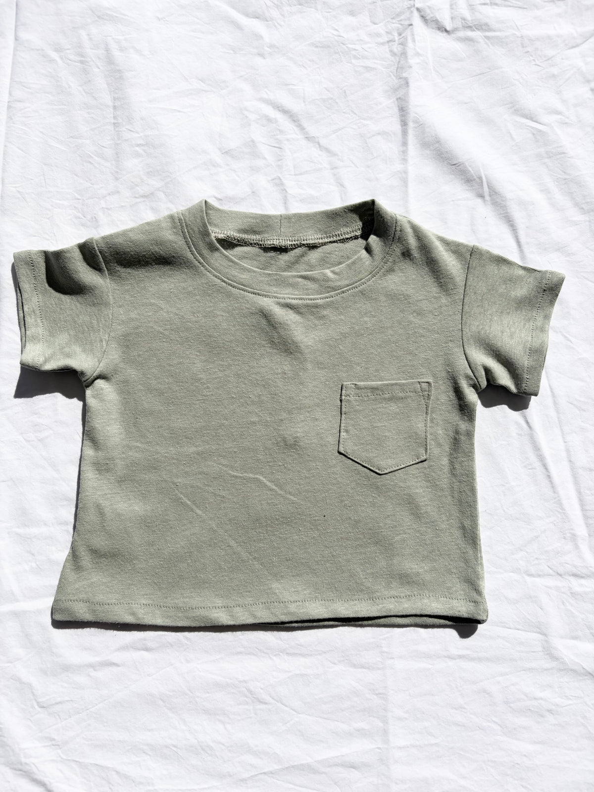 Unisex Basic T-Shirt - Organic Cotton Jersey - Sage